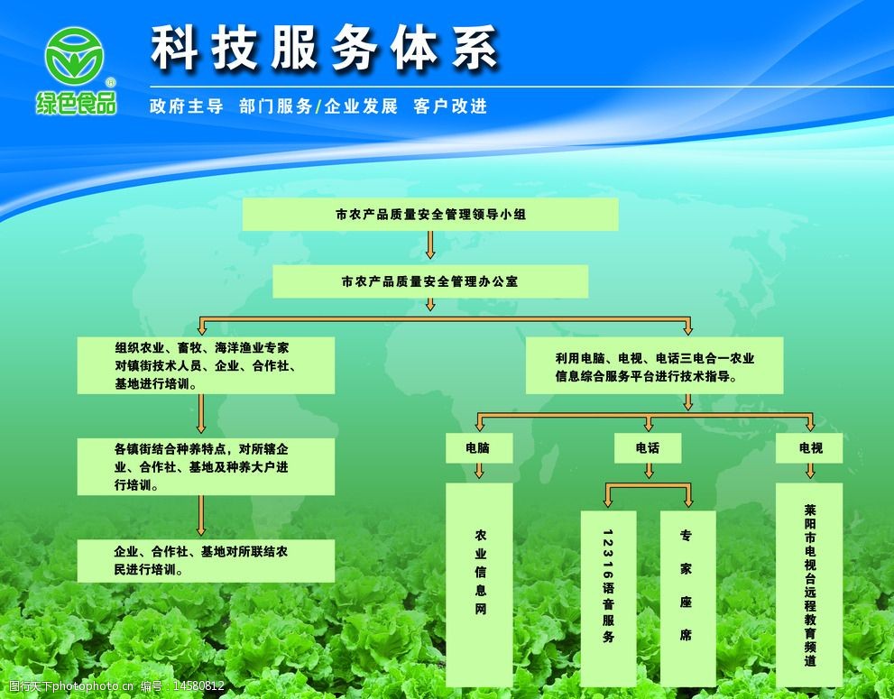 科技服務體系下的軟件開發 架構、流程與技術解析