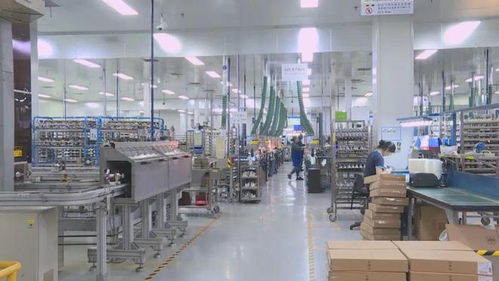 厲害了！儀征這家工廠，產品覆蓋30多個國家和地區，背后竟靠軟件開發“支棱”起來
